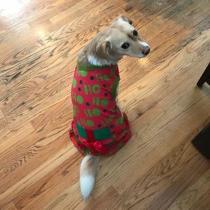 Meet your Posher, Solomon